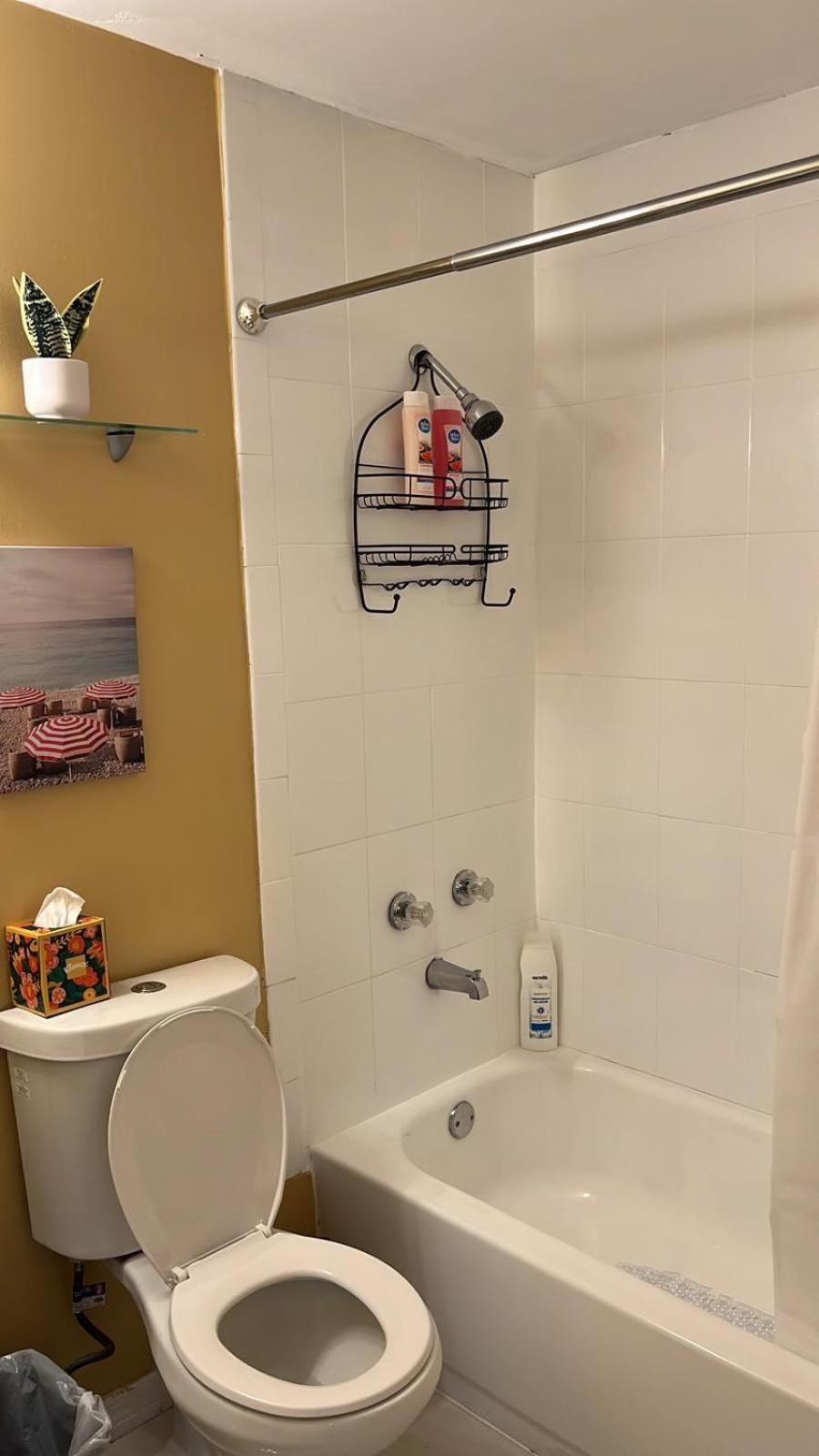 Beautiful, Fully Furnished 4Bed 2Bath House - 5 Minute Walk To Miracle Mile Downtown Coral Gables Villa ไมอามี ภายนอก รูปภาพ